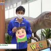 maxresdefault-75.jpg
